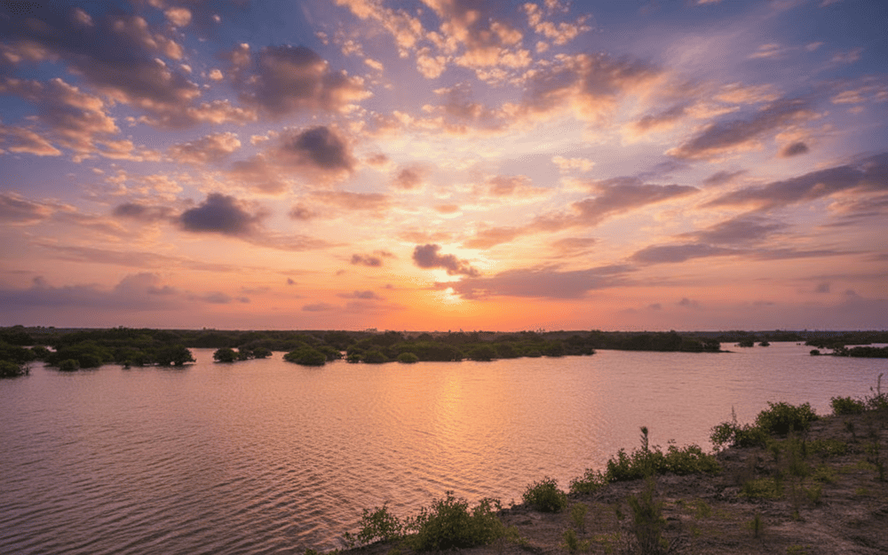 Tham quan rừng ngập mặn cũng mang lại trải nghiệm thú vị cho du khách